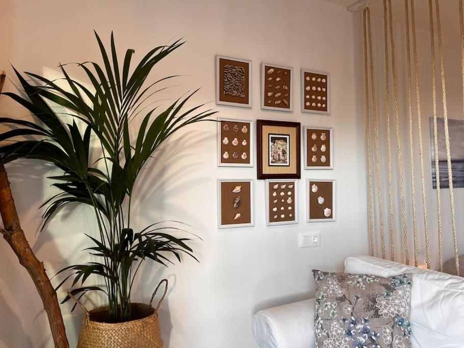 Ocean Dream Apartments - Lovely Sea View Studio Apartment 5Min From Beach San Marcos  Luaran gambar