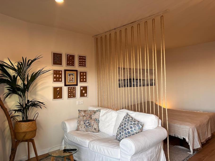 Ocean Dream Apartments - Lovely Sea View Studio Apartment 5Min From Beach San Marcos  Luaran gambar